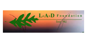 L-A-D Foundation Logo